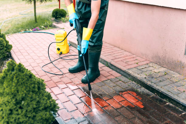 Animal Enclosure Cleaning in Waldport, OR